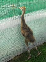 Red Yellow Blue on June 12th 2012 Red Yellow Blue on June 12th 2012